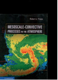 Image of Mesoscale-convective processes in the atmosphere