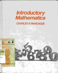 Image of Introductory Mathematics