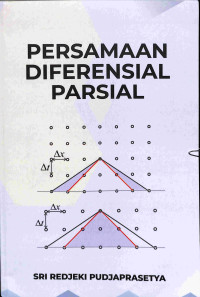 Image of Persamaan Diferensial Parsial